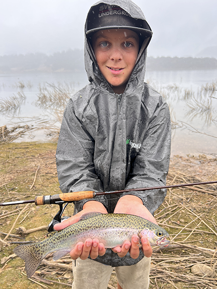 Brand showcase image